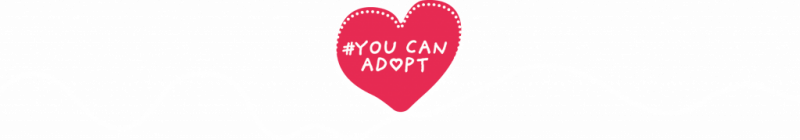 Diagrama adoption #YouCanAdopt